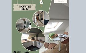 Mouette Rieuse